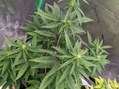 PXL 20231212 075537170