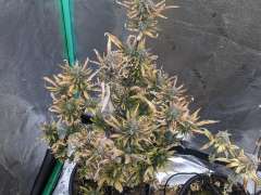 PXL 20240126 174533499