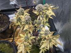 PXL 20240126 174543957