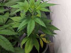 PXL 20240126 174652810
